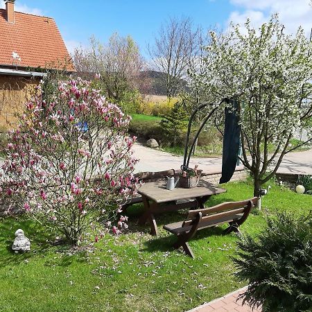 Familienfreundliche Ferienwohnung Auf Dem Lande Monteur Wohnung Hessisch Oldendorf Εξωτερικό φωτογραφία